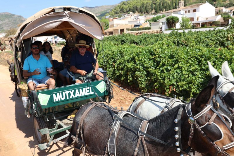 La presentació i l’entrada de la murta aporten l’ambient a l’arranc de les festes de Llíber La presentació i l’entrada de la murta aporten l’ambient a l’arranc de les festes de Llíber